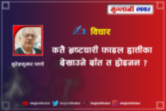 कतै भ्रष्टचारी फाइल हात्तीका देखाउने दाँत त होइनन्?